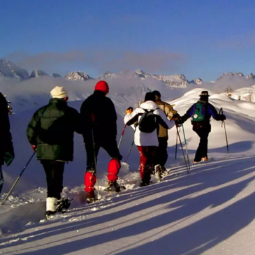 SKI FRANCE-Your Affordable Gateway to Ski Holidays Across France